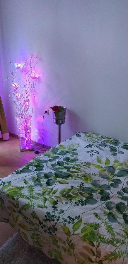 Aphrodite Rose Napospart Kültér fotó